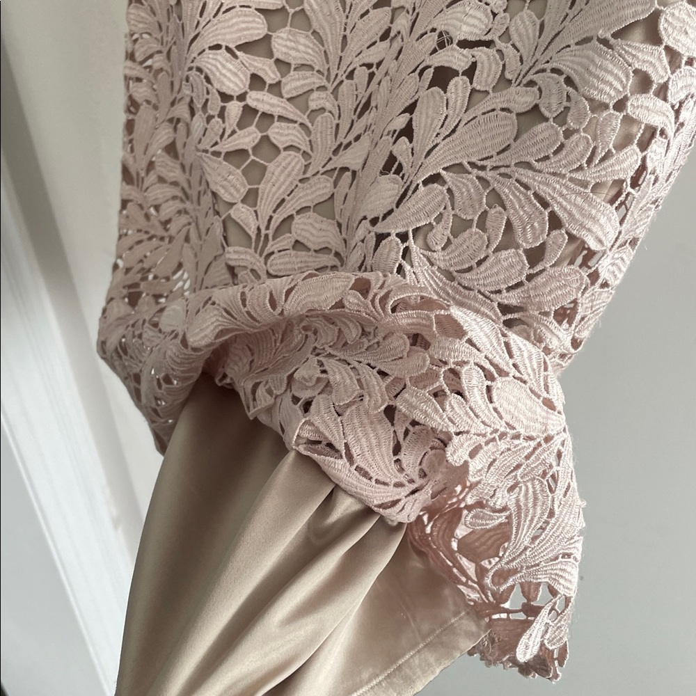 Eliza J Embroidered Powder Pink Lace Overlay Cocktail Dress - Size 4 - Picture 16 of 16